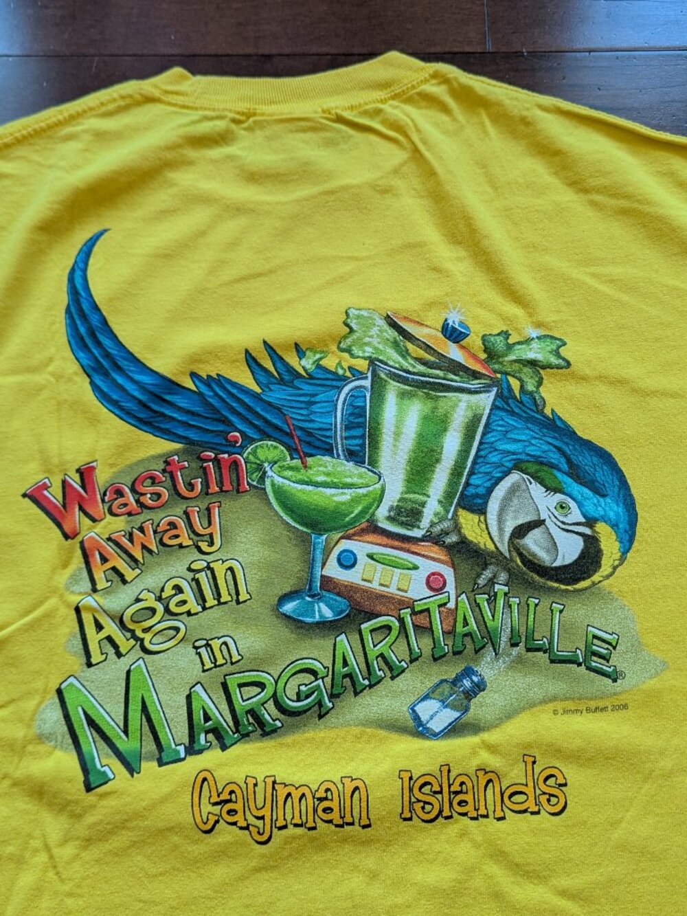 (2006) Jimmy Buffett - Picture 4 of 5